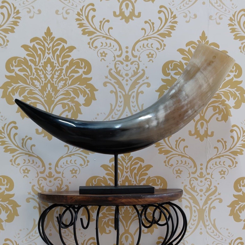 Black and White Coloured 10 inch Wide Natural Buffalo Horn Mounted on Wood